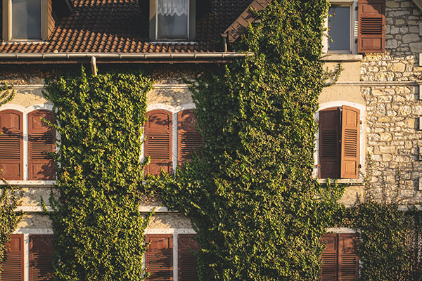 façade avec volets sur mesure